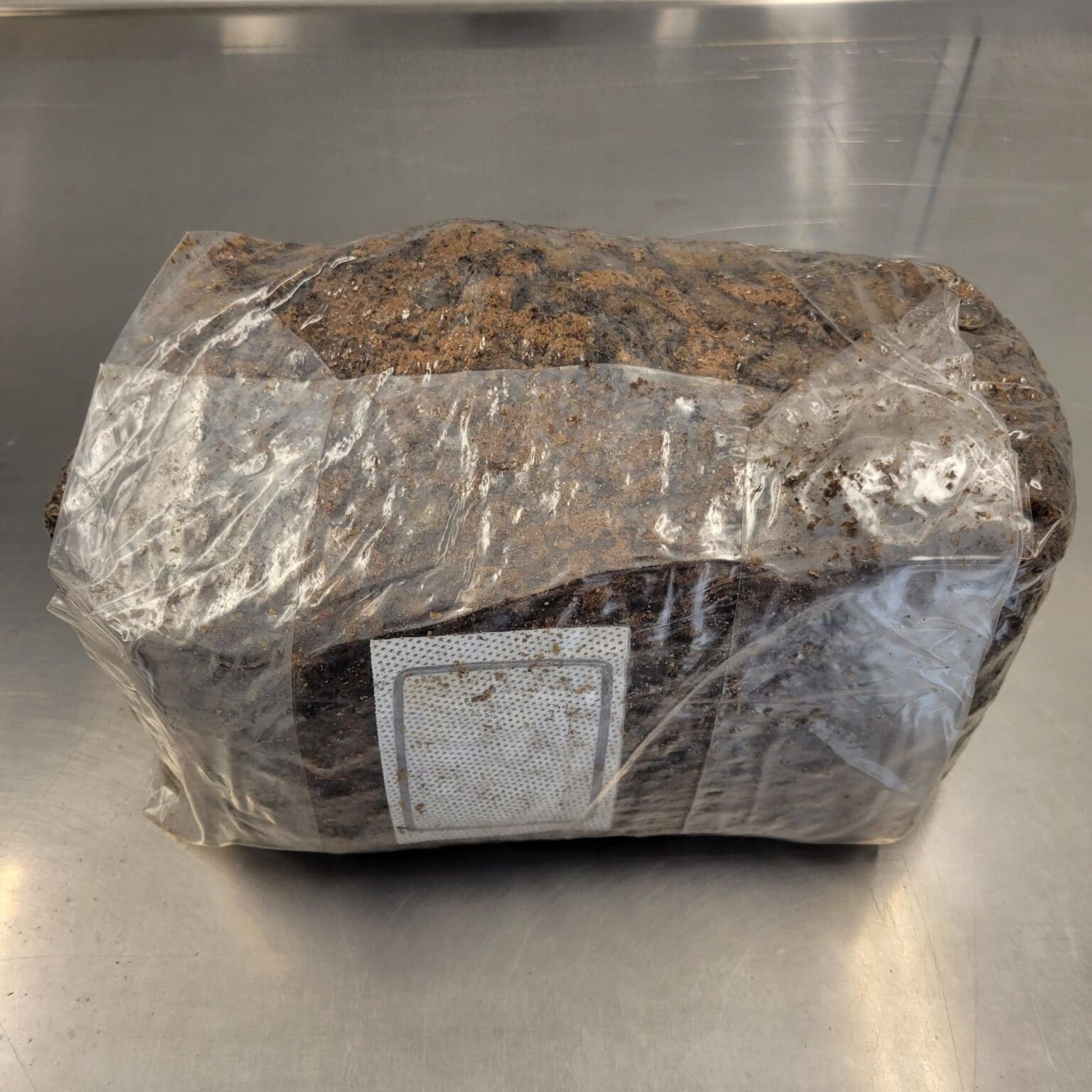 Sterilized Bulk Substrate Myers Mushrooms