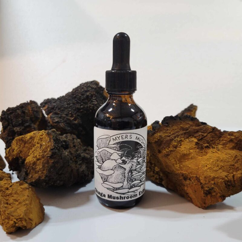 A bottle of Fungi Fusion Tincture next to a pile of rocks.