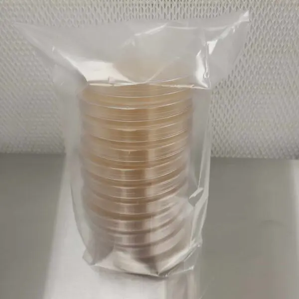 A plastic bag filled with Petri dishes pre-poured on a table.