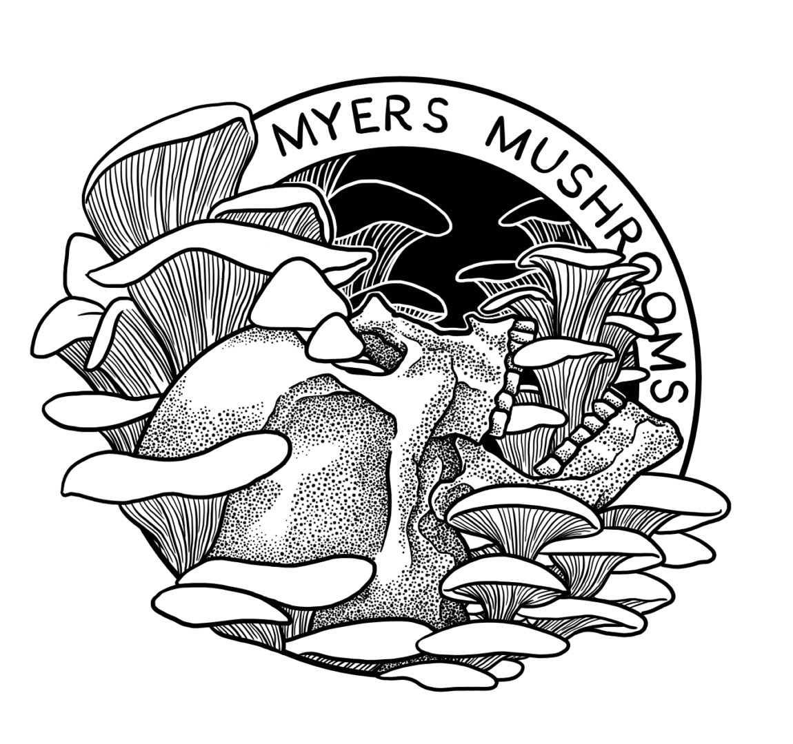 mmdrawing