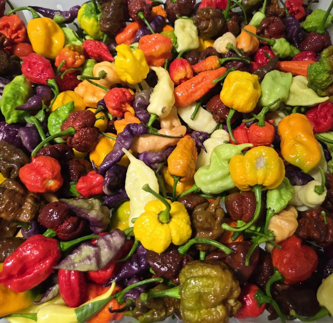 Super Hot Peppers Assorted Free Shipping lower 48