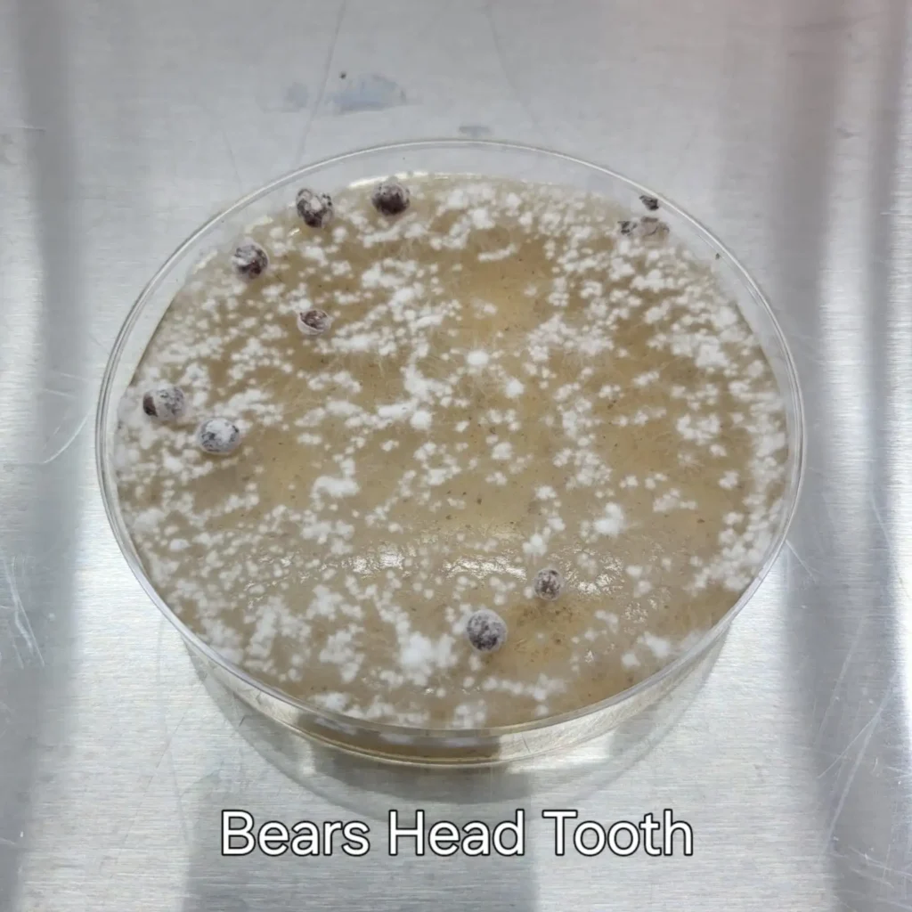 20260313_103630-1536x1536