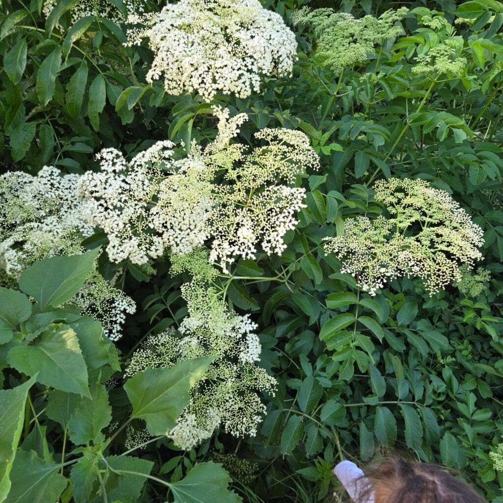 448033812_876986074463656_1895411794242046926_n